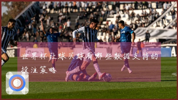 世界杯让球买球有哪些数据支持的投注策略