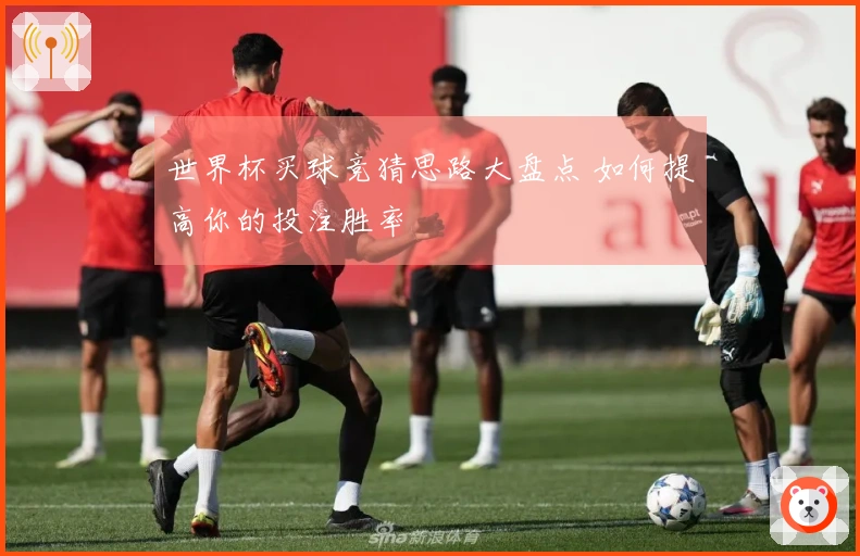 世界杯买球竞猜思路大盘点 如何提高你的投注胜率