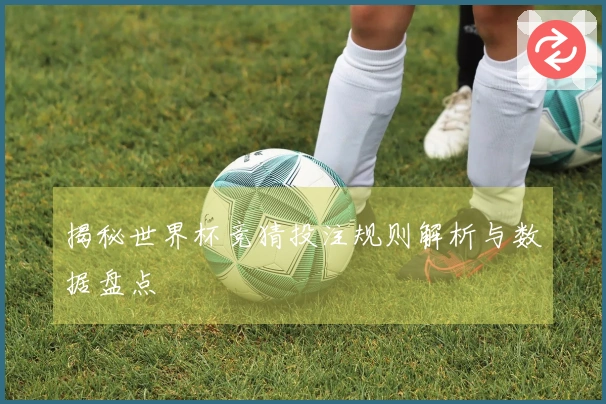 揭秘世界杯竞猜投注规则解析与数据盘点