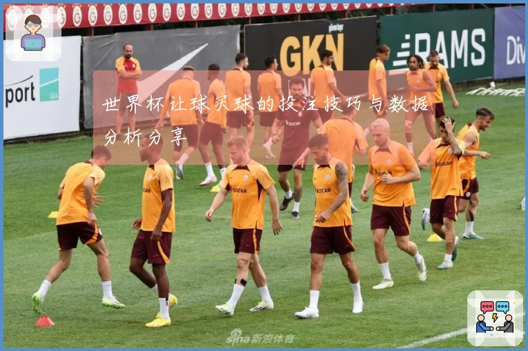 世界杯让球买球的投注技巧与数据分析分享