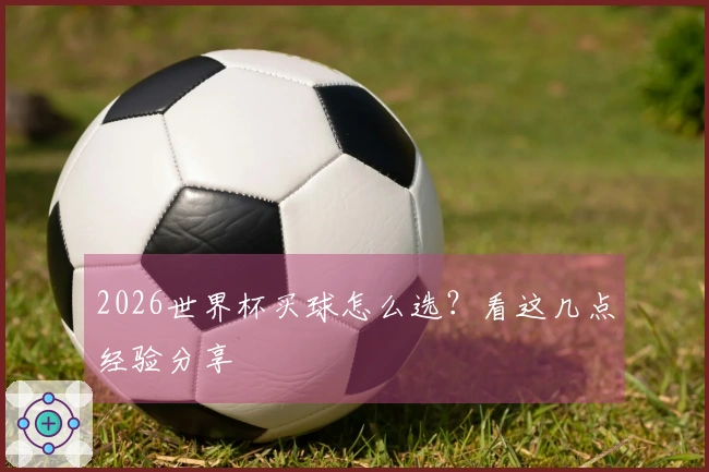 2026世界杯买球怎么选？看这几点经验分享
