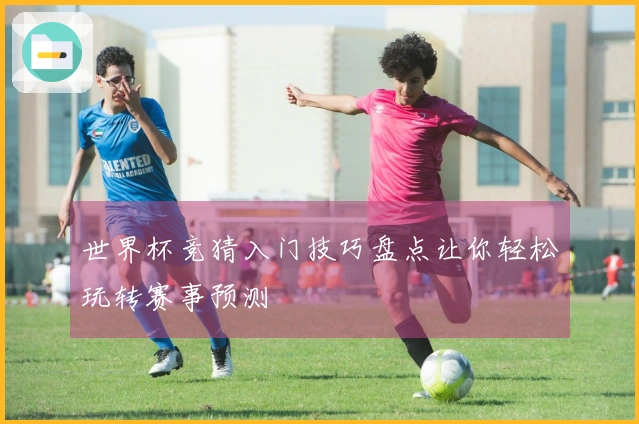 世界杯竞猜入门技巧盘点让你轻松玩转赛事预测