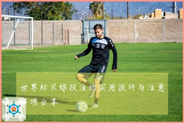 世界杯买球投注的实用技巧与注意事项分享